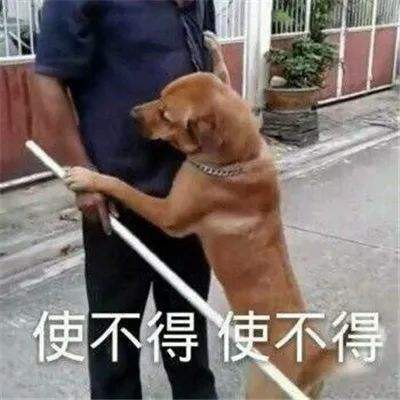 请添加图片描述 请添加图片描述