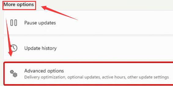 Windows11驱动怎么安装?Windows11下载驱动程序步骤介绍截图