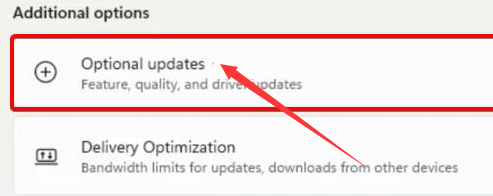 Windows11驱动怎么安装?Windows11下载驱动程序步骤介绍截图