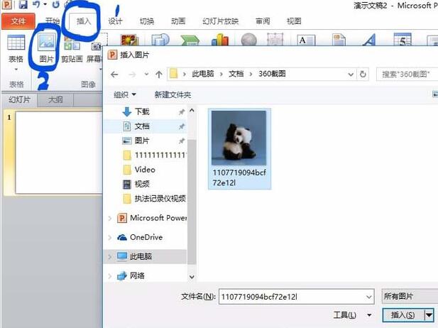 PPT图片裁剪成圆形图的教程方法