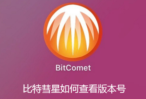 比特彗星如何查看版本号-比特彗星查看版本号的详细讲解