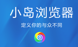 小岛浏览器是谷歌浏览器吗