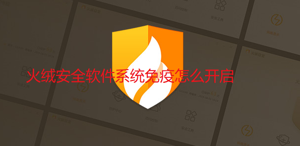 火绒安全软件系统免疫怎么开启-打开火绒安全软件系统免疫功能指南