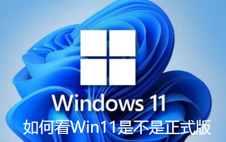 如何看Win11是不是正式版-查看Win11是否是正式版的指南