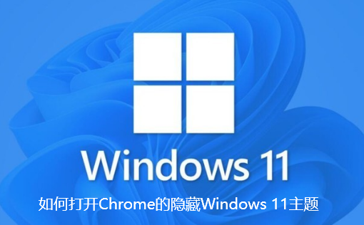 如何打开Chrome的隐藏Windows 11主题-打开Chrome的隐藏Windows 11主题步骤