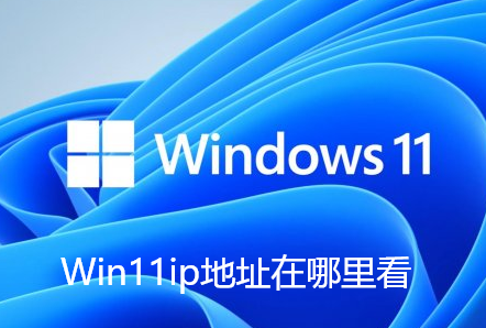 Win11ip地址在哪里看-Win11查看本机地址的技巧