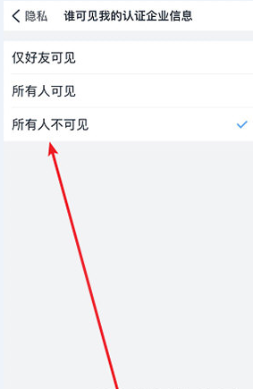 钉钉企业信息仅对好友可见 钉钉怎么隐藏企业认证信息截图