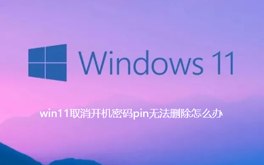 win11取消开机密码pin无法删除怎么办-win11关闭开机密码pin选项灰色解决技巧