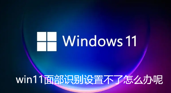 win11面部识别设置不了怎么办呢