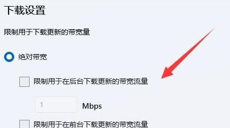 Win11系统如何限制宽带流量