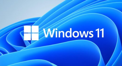 Win11系统如何限制宽带流量-Win11系统限制宽带流量教程【图解】