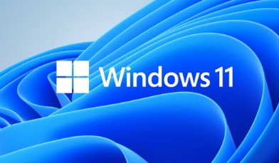 Win11软件权限管理在哪查看 Win11软件权限管理在哪查看