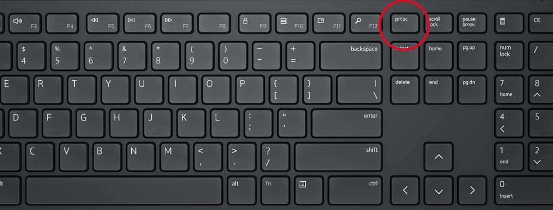 如何在 Windows 11 上截屏?