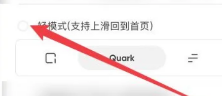 夸克浏览器可以浏览外国网址吗
