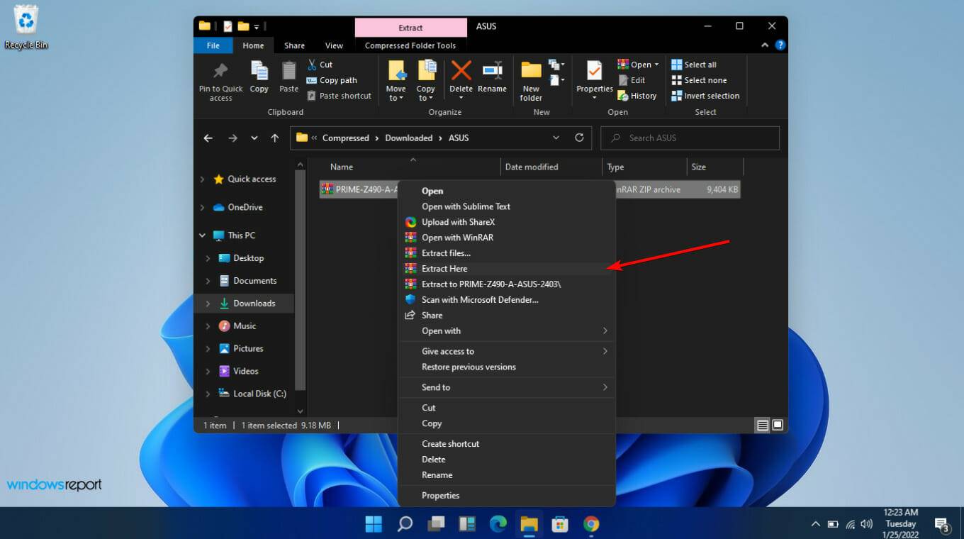 ZIP-file-that-contains-the-BIOS-folder.