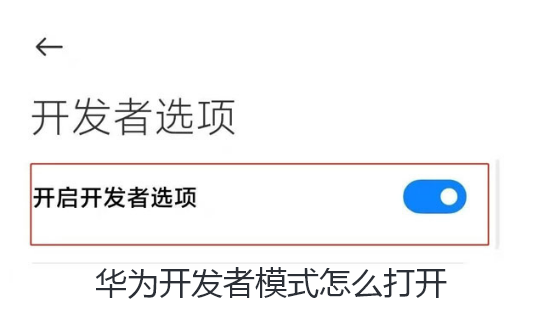 华为开发者模式怎么打开-华为开发者模式打开教程