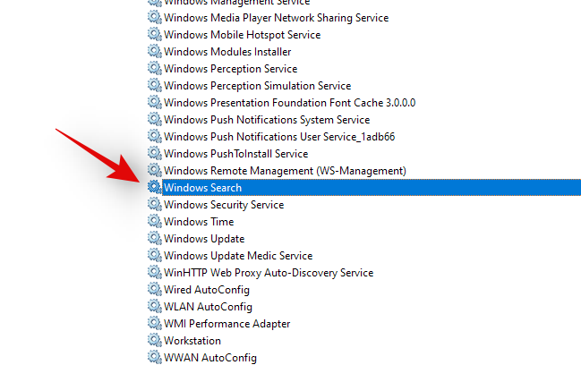如何在 Windows 11 中搜索 [4 种解释方法]