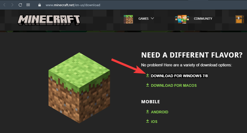 fix-minecraft-error-011