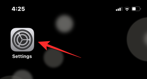 删除 iPhone 上的 cookie:分步教程