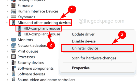 当我在 Windows 11 中单击时，鼠标正在选择所有内容 [已解决]