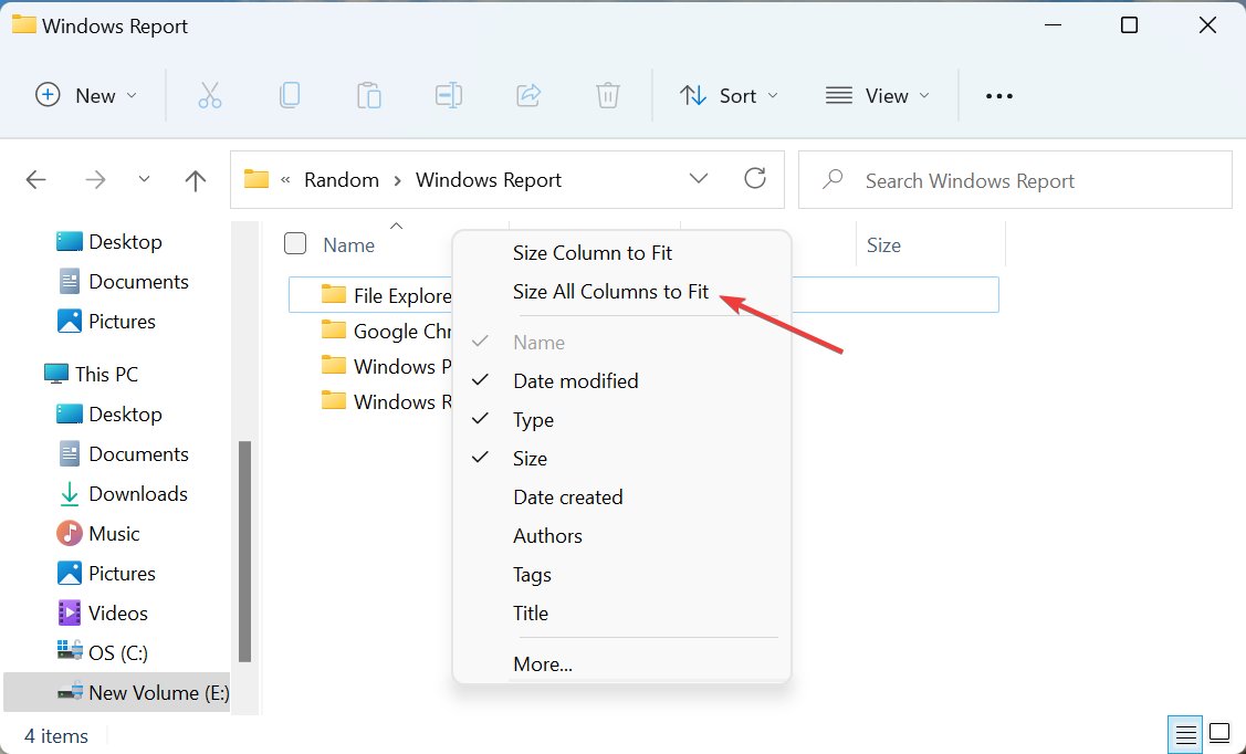如何调整所有列的大小以自动适应 Windows 11