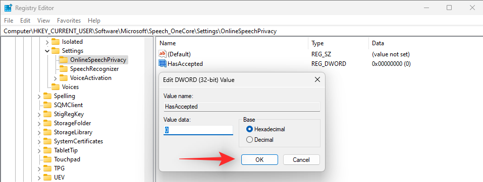windows-11-turn-off-voice-typing-rtp-new-13