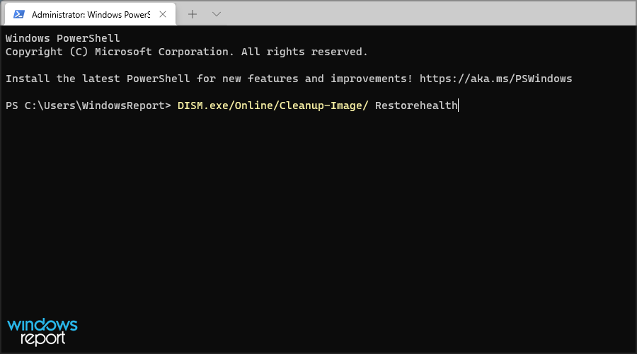 dism-w11