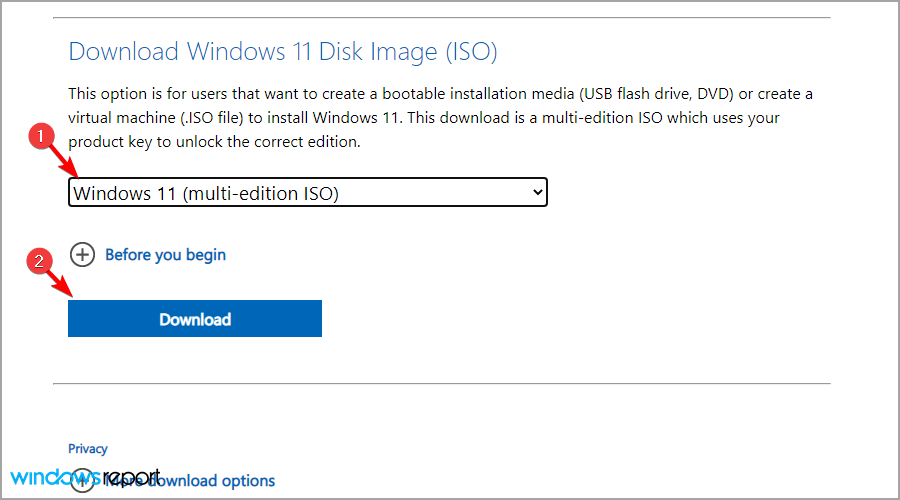 download-windows-11-disk-image