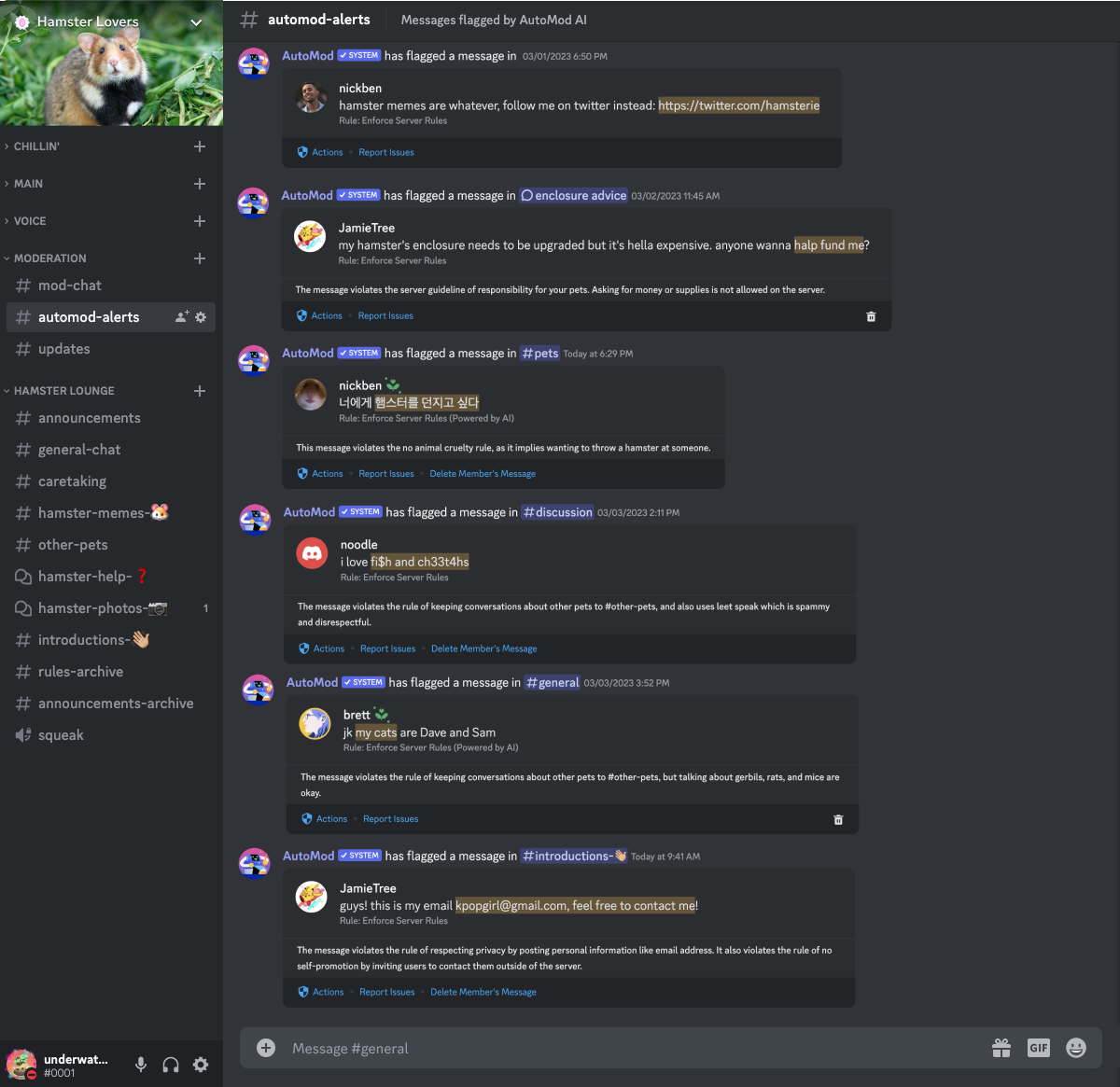 automod-ai