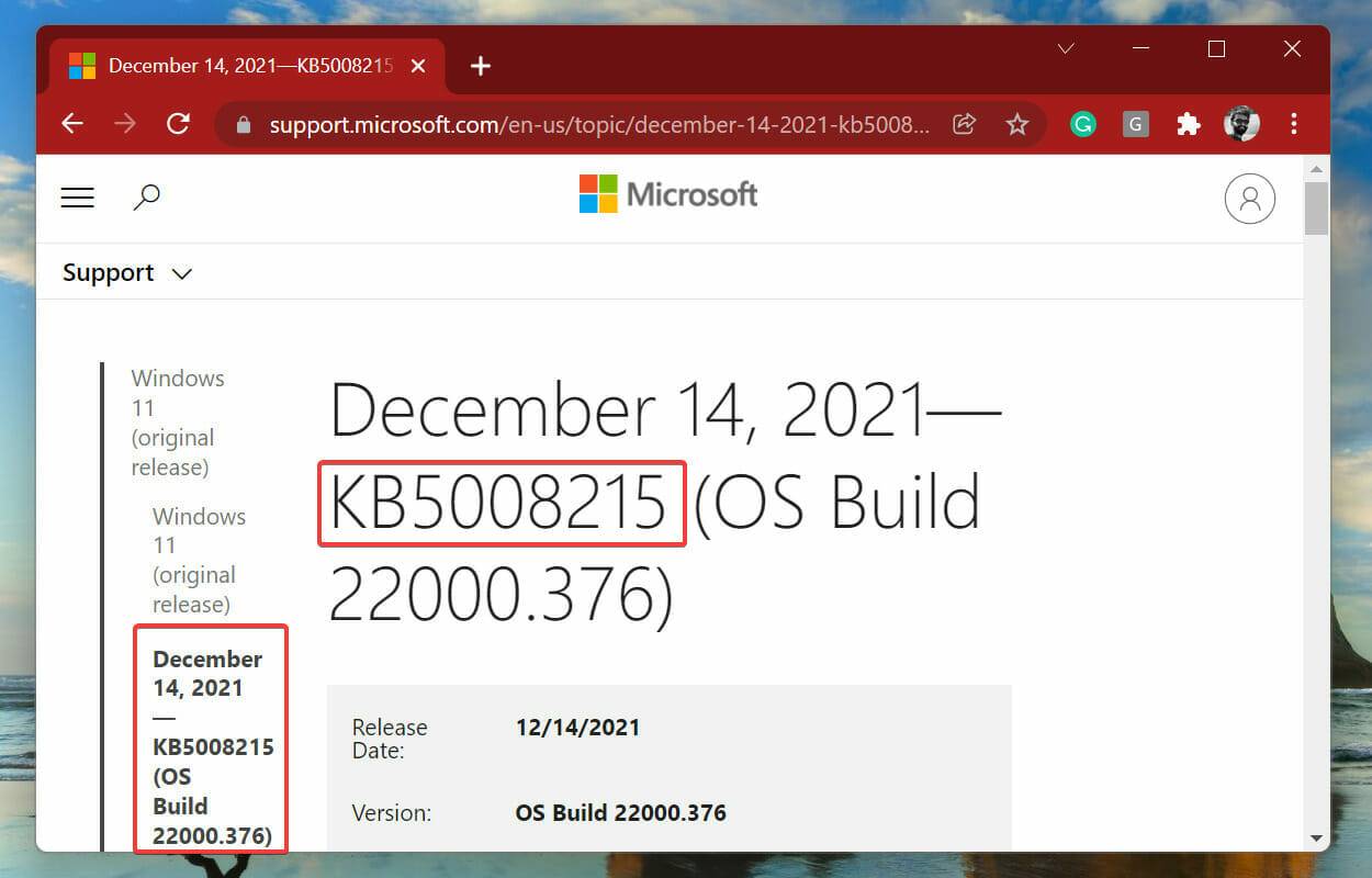 chrome_LbDE207uII-1