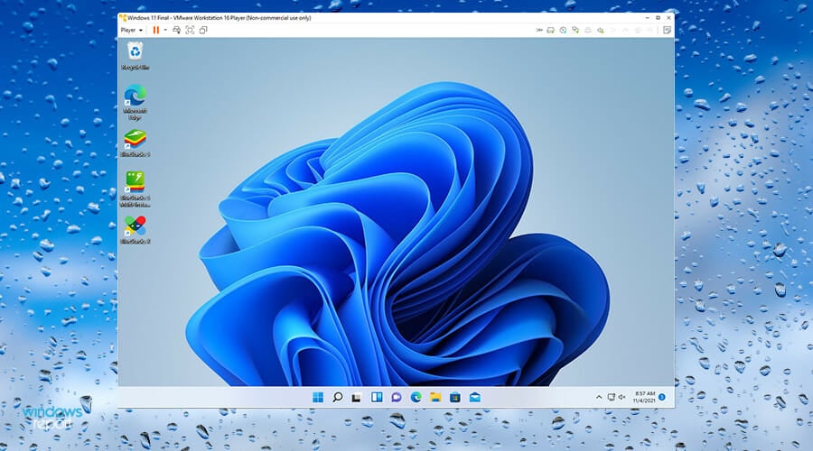 适用于Windows 11的最佳虚拟机(免费和付费)