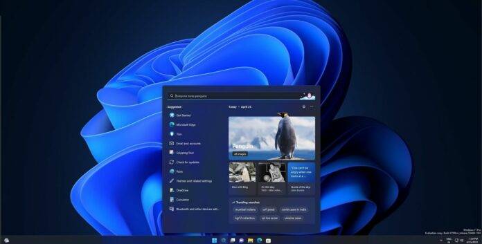 Windows-11-Build-25120-696x353-1
