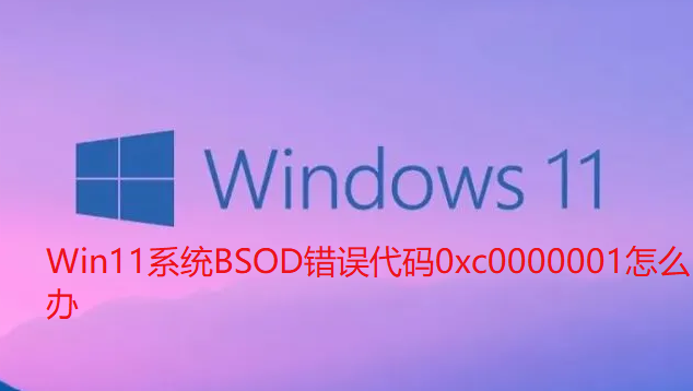 Win11系统BSOD错误代码0xc0000001怎么办【已解决】