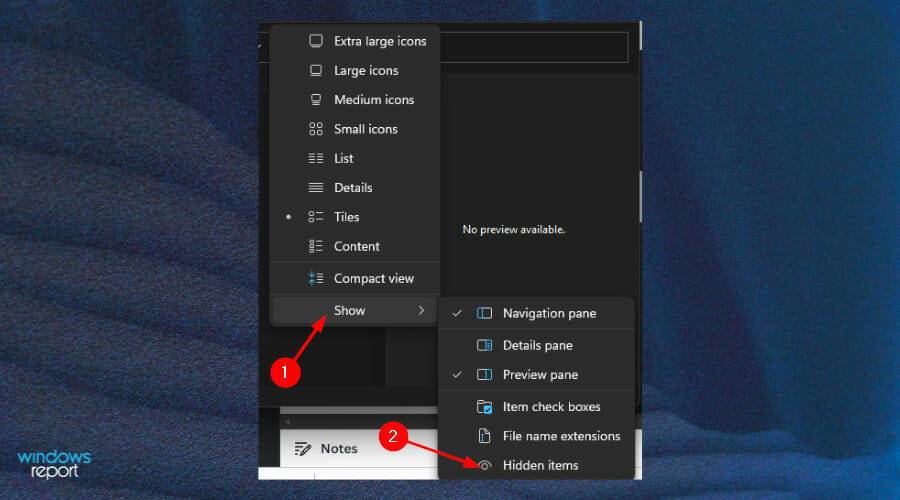 show-hidden-items