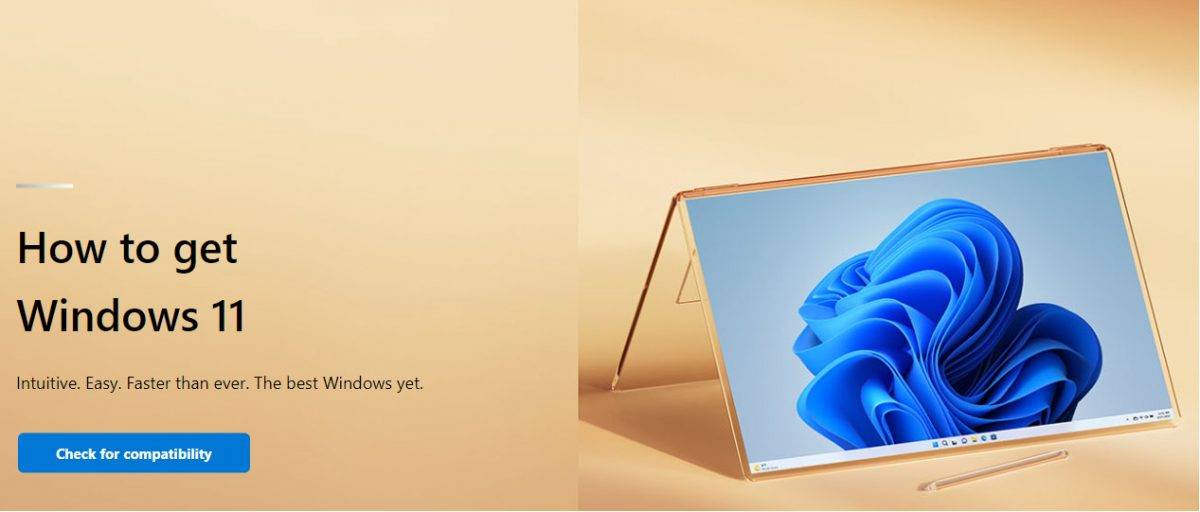 如何强制立即更新和升级 Windows 11?