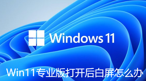 Win11专业版打开后白屏怎么办-Win11开机白屏的解决方法