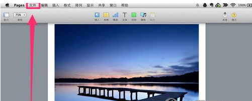 pages文稿怎么保存 Pages保存文档教程截图