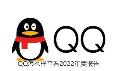 QQ怎么样查看2022年度报告-2022QQ年度总结查看步骤