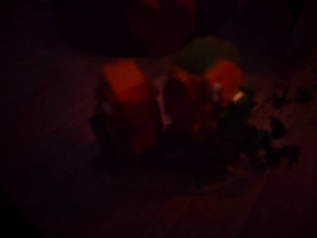 Parrots-2-OnePlus-10-Pro-Complete-Darkness-1024x770-2