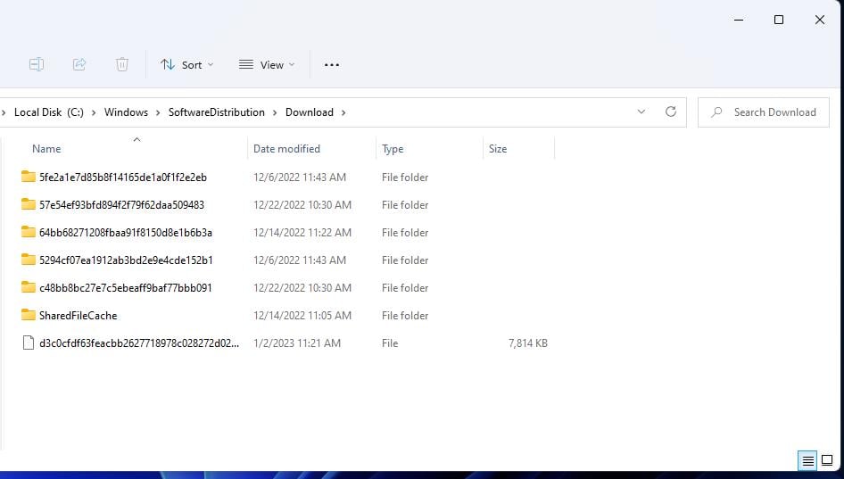 the-download-data-folder