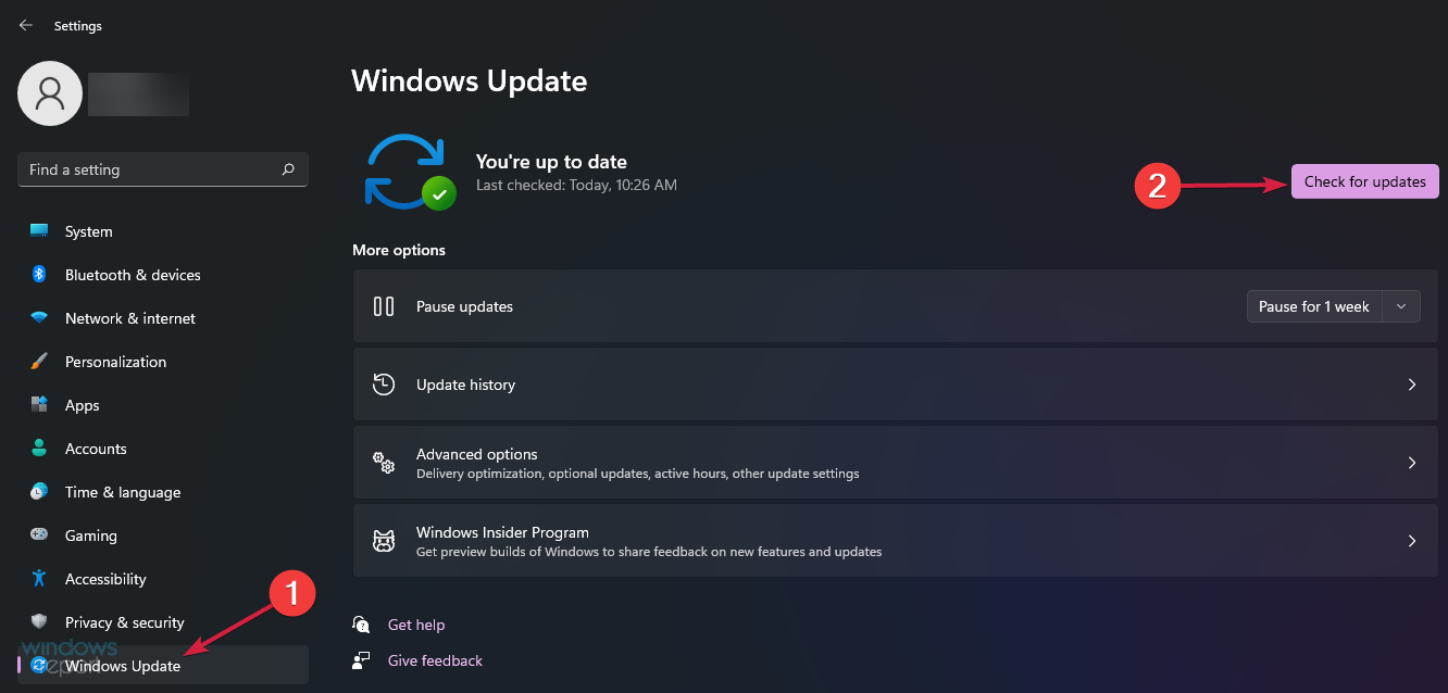 Windows 11搜索栏不起作用：6修复方法