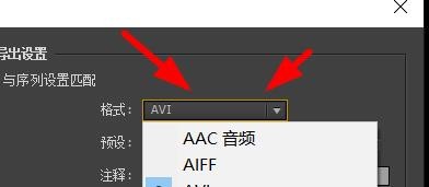 premiere素材导出到一定百分比卡住的处理方法