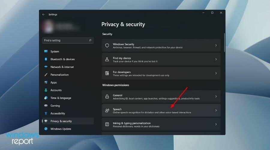 disable-speech-recognition-windows-11-settings
