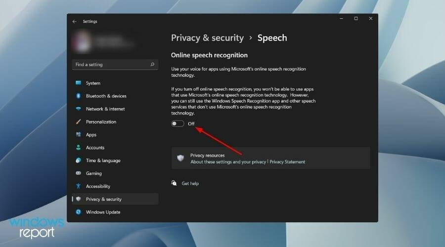 turn-off-online-speech-recognition