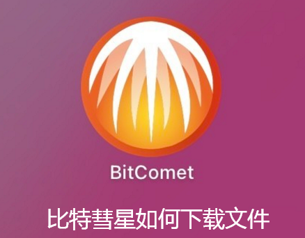 比特彗星如何下载文件-比特彗星下载文件的方法【图文教程】