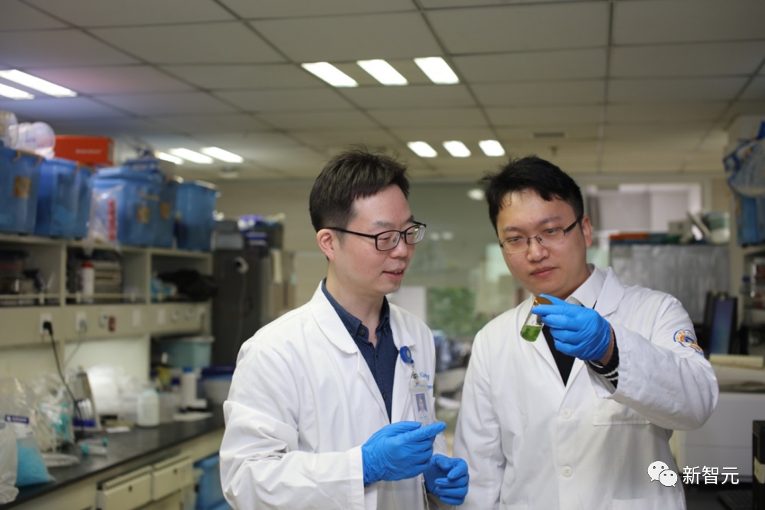 浙大重磅研究登Nature:人类也能「光合作用」,让衰老细胞返老还童