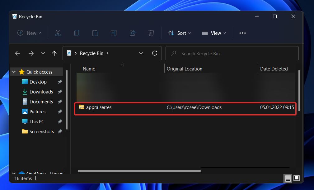 Appraiserres.dll 在 Windows 11 中不起作用?尝试这些修复