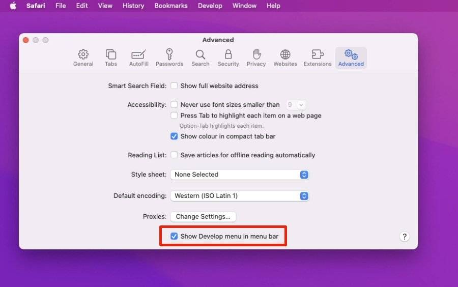 如何在 Mac 和 iPhone 上清除 Safari 中的缓存 - 以及它的作用