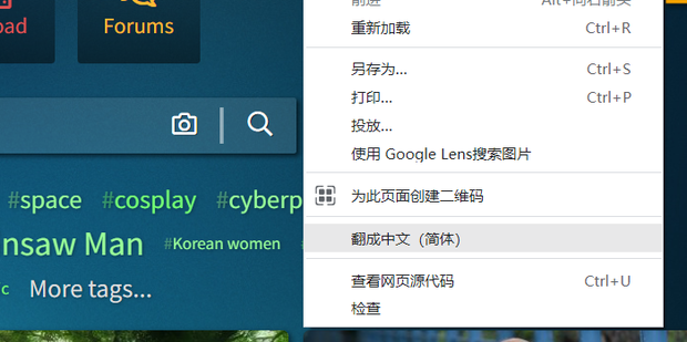 谷歌浏览器翻译功能启动失败怎么办