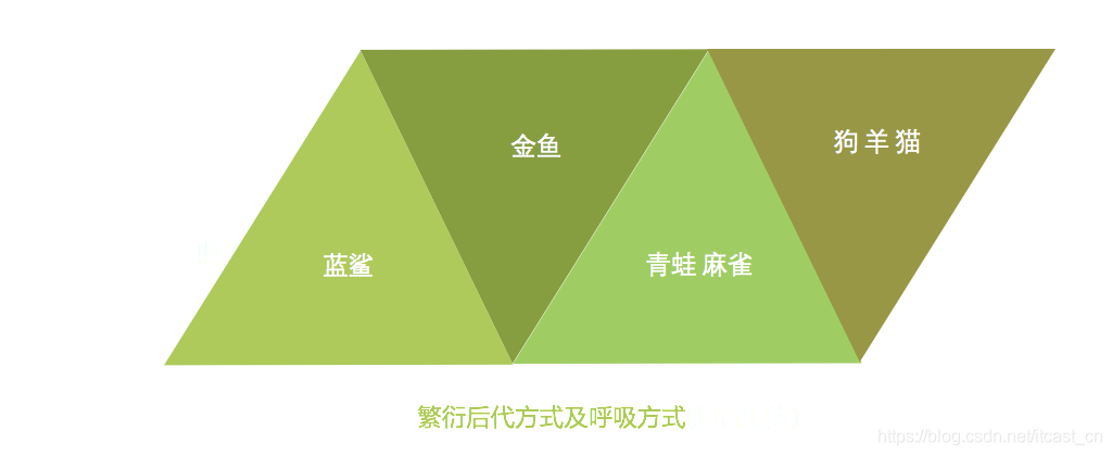 机器学习初学者必须掌握哪些算法？